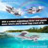 imageDEERC RC Plane for Water Land ampamp Air Amphibious TriPhibian Aircraft 3CH Remote Control Plane W 2 Batteries 24GHz RTF Airplane Glider for Boy GirlBlue